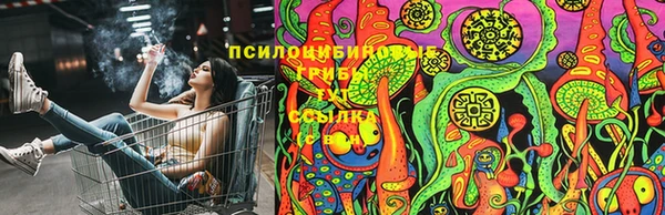 меф Алексин