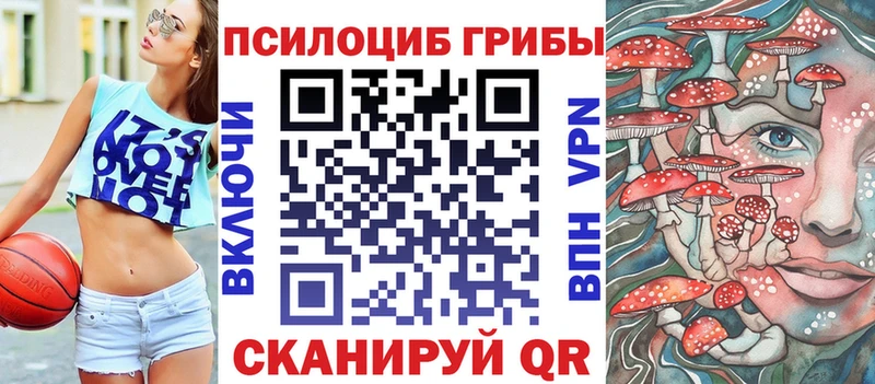 что такое   Кропоткин  Псилоцибиновые грибы MAGIC MUSHROOMS 